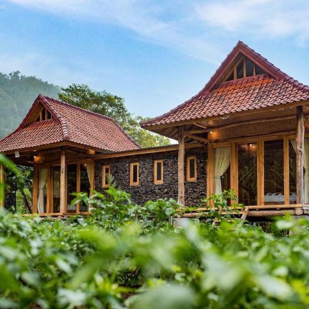 Pondok Manoka Kintamani Buitenkant foto