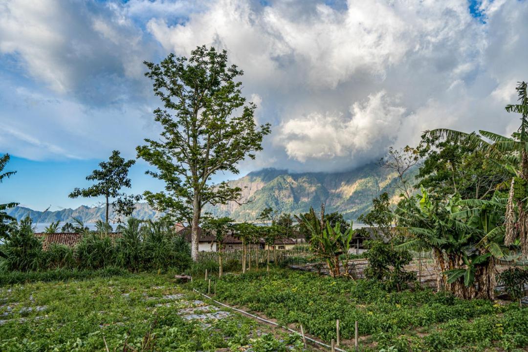 Pondok Manoka Kintamani Buitenkant foto