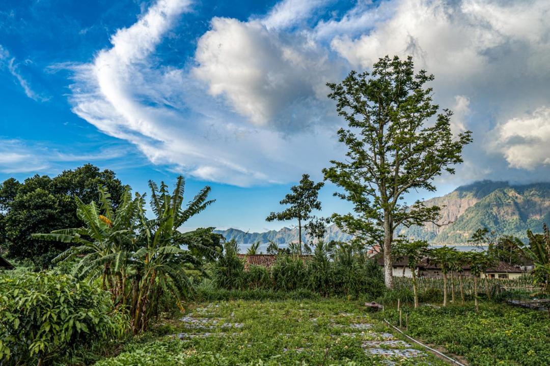 Pondok Manoka Kintamani Buitenkant foto