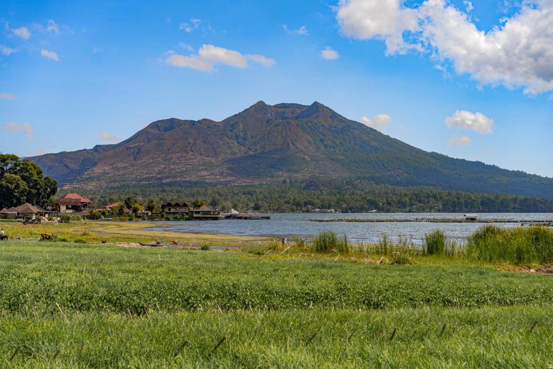 Pondok Manoka Kintamani Buitenkant foto