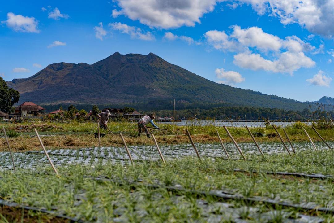 Pondok Manoka Kintamani Buitenkant foto