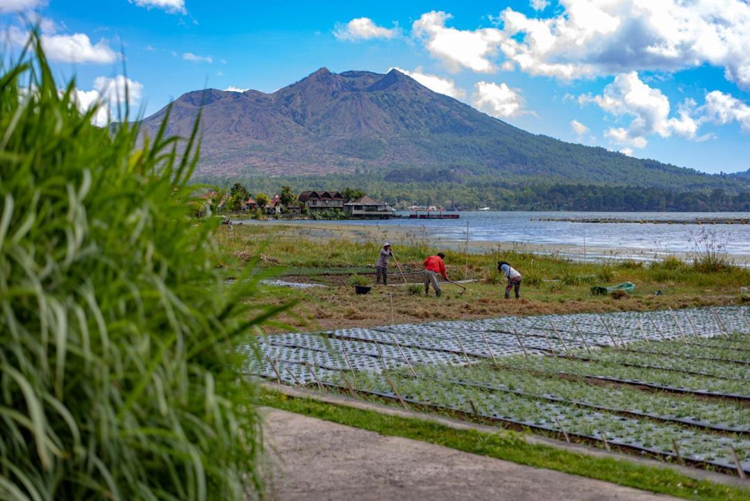 Pondok Manoka Kintamani Buitenkant foto