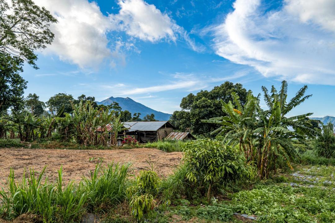 Pondok Manoka Kintamani Buitenkant foto