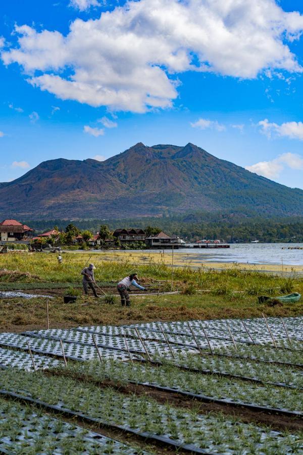 Pondok Manoka Kintamani Buitenkant foto