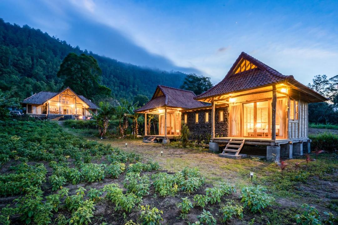 Pondok Manoka Kintamani Buitenkant foto