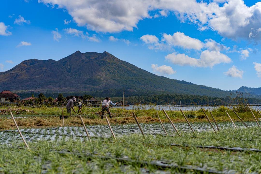 Pondok Manoka Kintamani Buitenkant foto