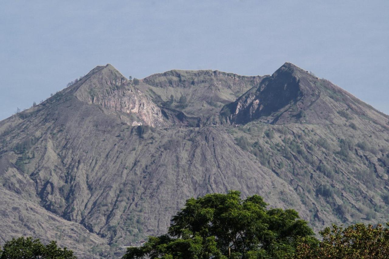 Pondok Manoka Kintamani Buitenkant foto