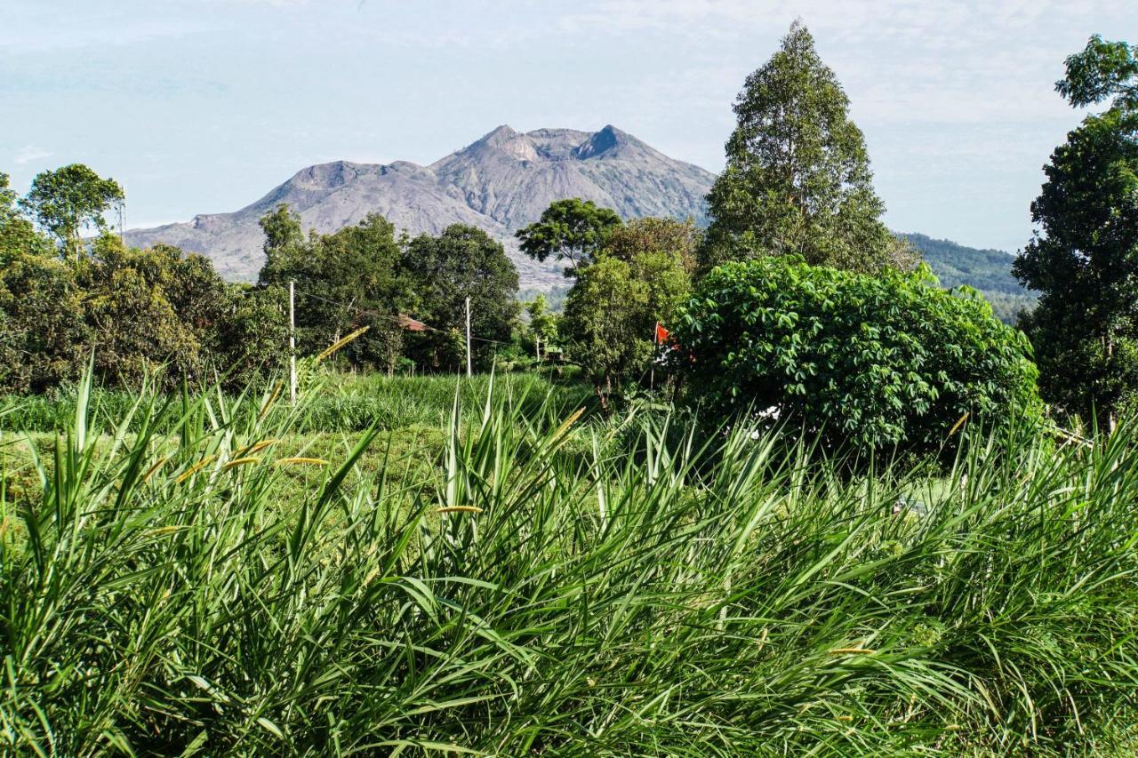 Pondok Manoka Kintamani Buitenkant foto