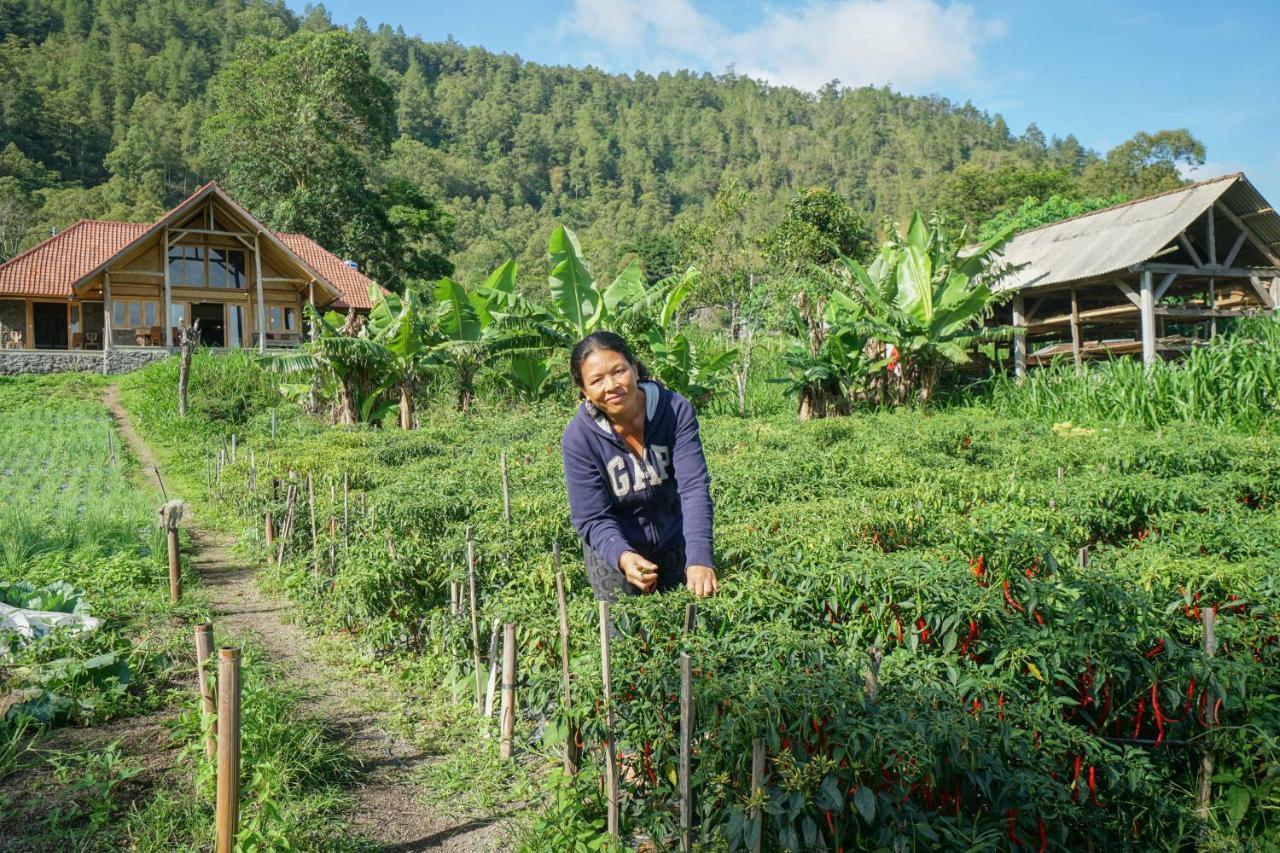 Pondok Manoka Kintamani Buitenkant foto